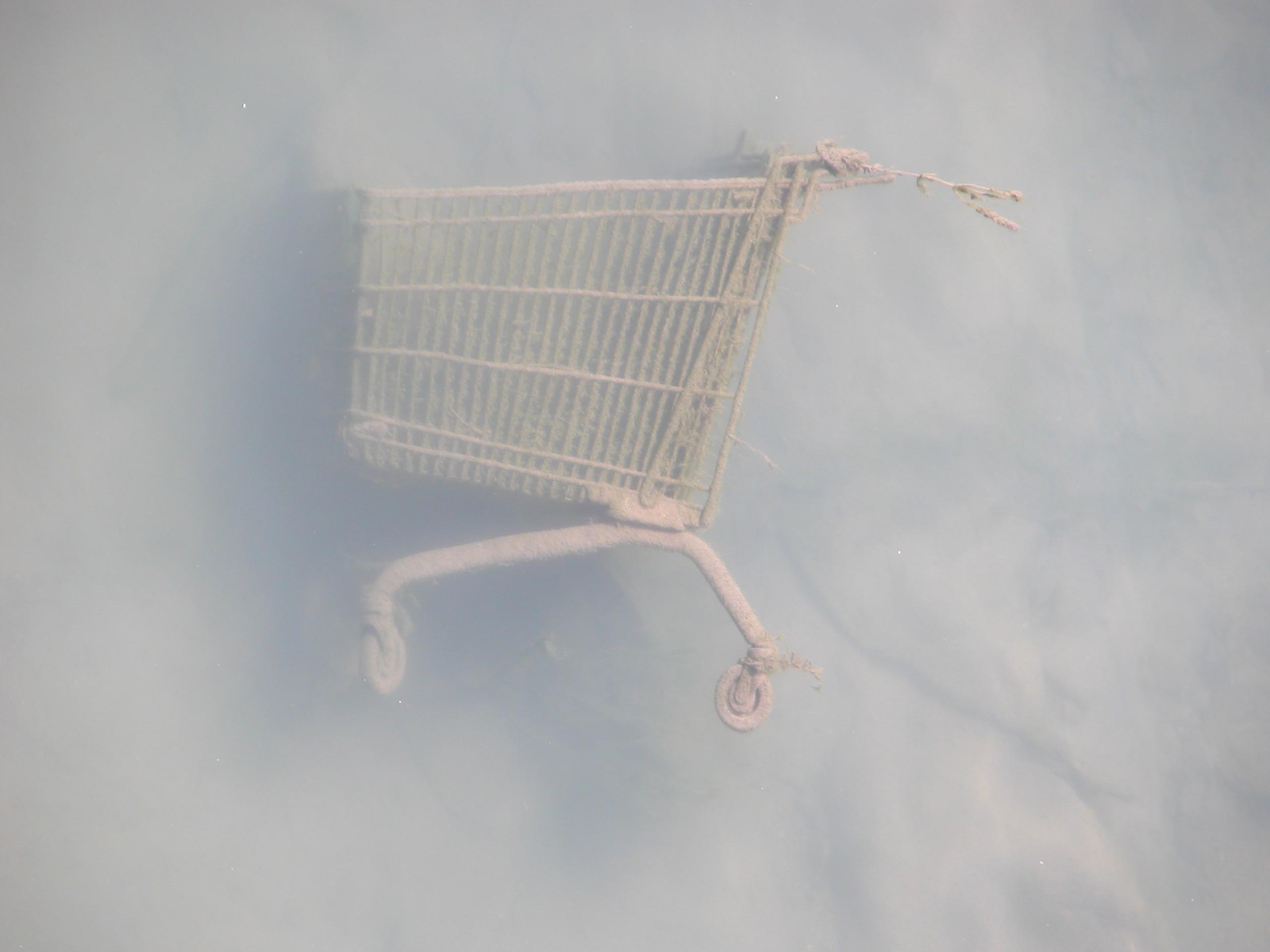 Nakupny vozik v rieke